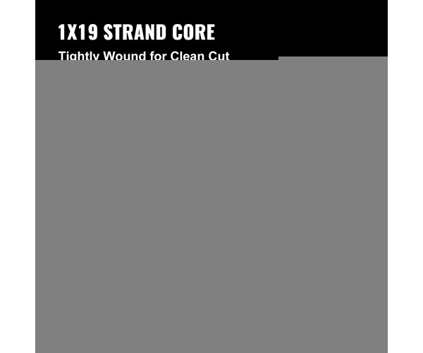 316BXGGSS150M0001V0 gallery 2