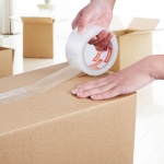 3YCXFXJDTM24NIINWV0 gallery 6