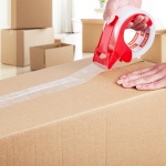 3YCXFXJDTM6G2L8SQV0 gallery 6