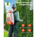 BBPPPPE416L12HNJ1V2 gallery 1