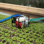 BGTJ20INCH50GMYHMV0 gallery 6 3