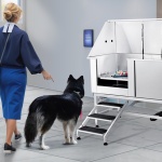 BXGCWYG62ZKMLN9YZV0 gallery 6