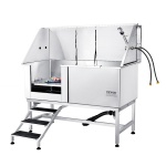 BXGCWYG62ZKMLN9YZV0 gallery 7