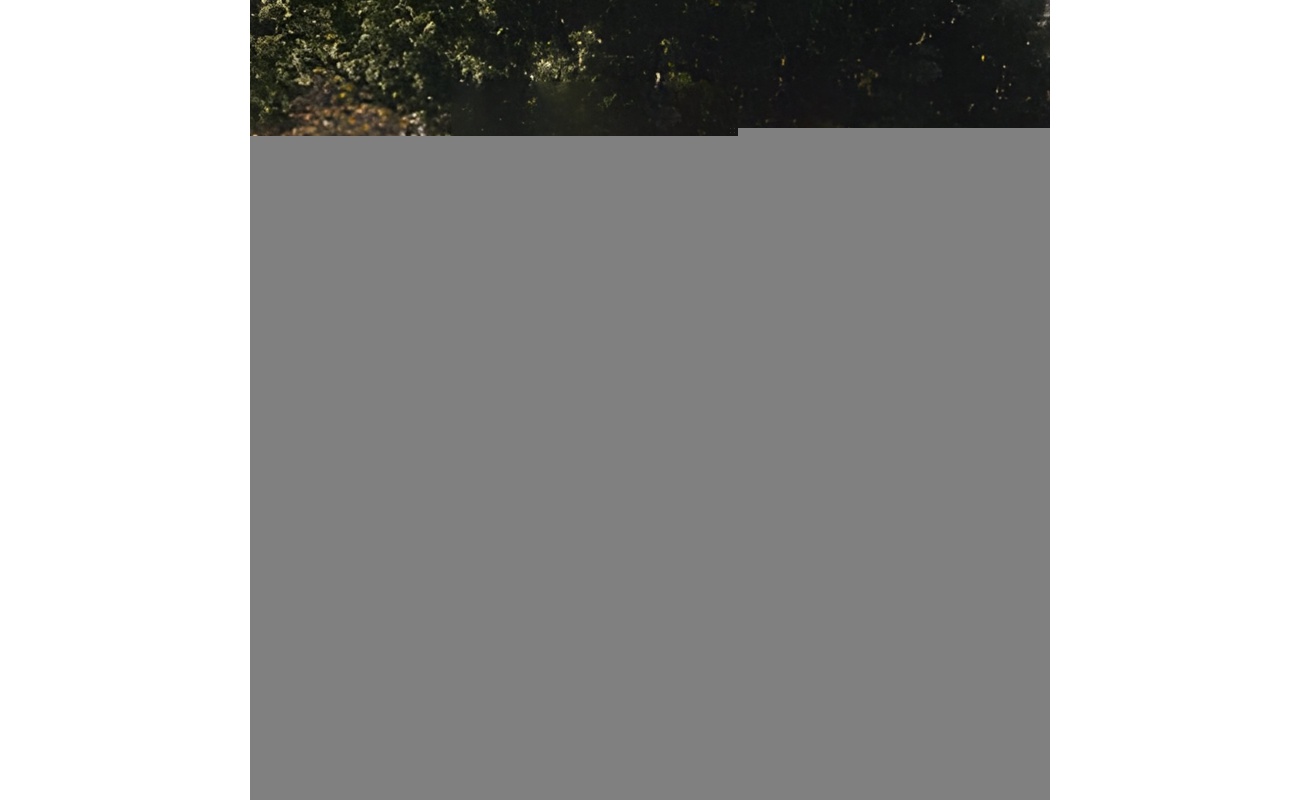 BXGFXPDYDGYS7SWWCV0 retry 7 2