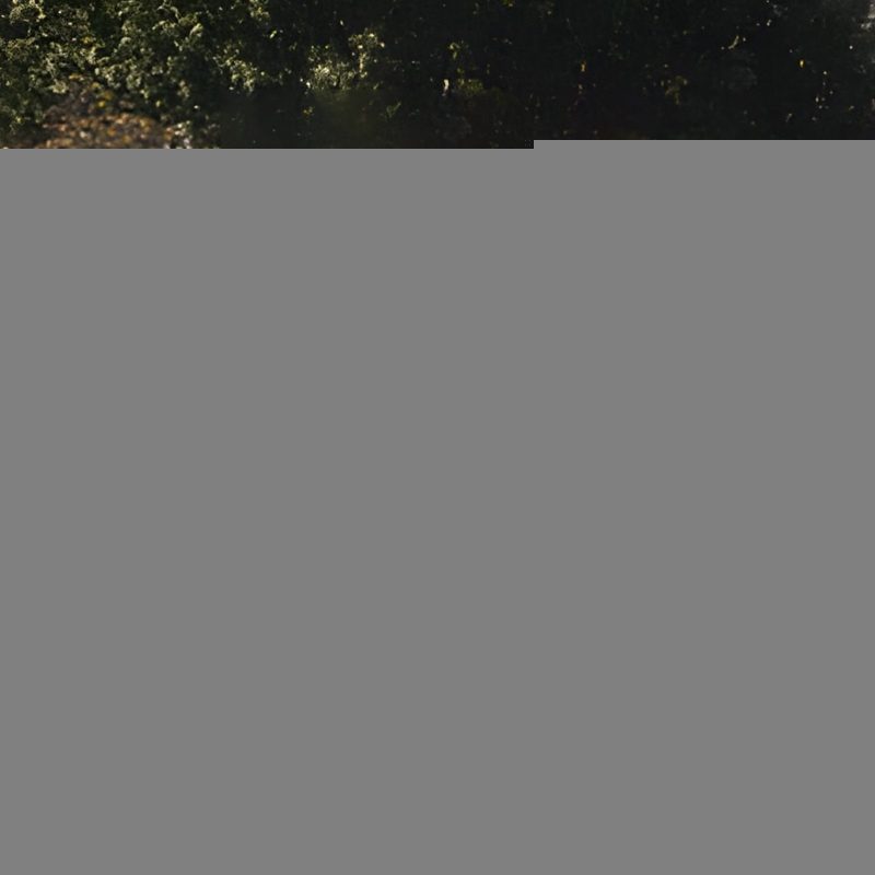 BXGFXPDYDGYS7SWWCV0 retry 7 2