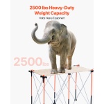 BXSGZTPPSL4FAB6G7001V0 gallery 0