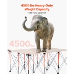 BXSGZTPPSL6FC1QQP001V0 gallery 0