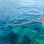 CYML316BXG4FGETIMV0 gallery 6