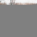 DDLY330LB17IY7I32V2 gallery 6