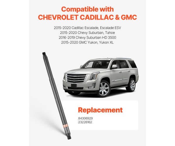 DDZCG2JZCDLY72GI9V9 gallery 0