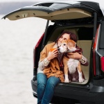 DDZCG2JZCDLY72GI9V9 gallery 6