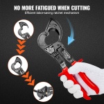 DLJD10YCZD24ULIE9V0 gallery 3