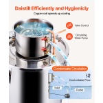 DLNTZLQYS8JLWJXVZV2 gallery 2