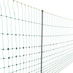 DXJCWLW35IN1ED6DAV9 gallery 7