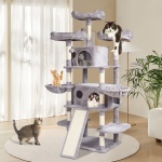 DXSMS6C2FQH0WG36KV0 gallery 6