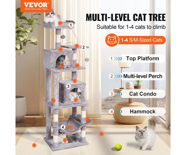 DXSMS7C2FQH0PX1IIV0 gallery 0