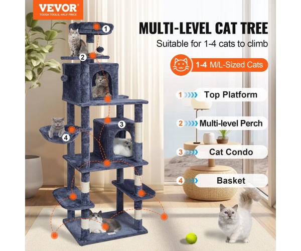 DXSMS8C2FSH0S4J5KV0 gallery 0