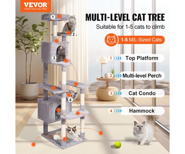 DXSMS9C2FQH0LAOT7V0 gallery 0