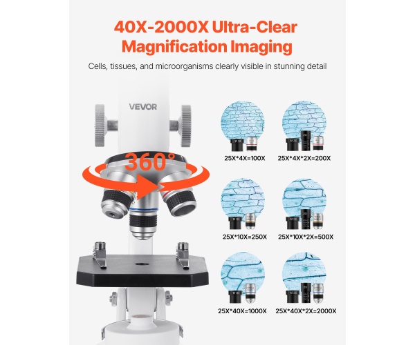 DXWJ4X10X40XV6Z4A001V2 gallery 0 2