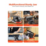 DXZSDGNTQ8INTFIJJV0 gallery 4