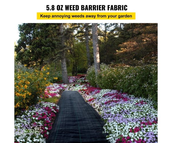 FCBY41005.8OZNQAYV0 gallery 0