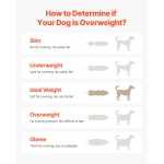 FDDGGPBJDXQLRMHH8V0 gallery 5