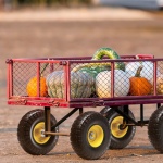 FPLJAZPU400LBUE89V0 gallery 6