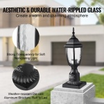 FTYNHWZD1JZDTBEAJV7 gallery 4