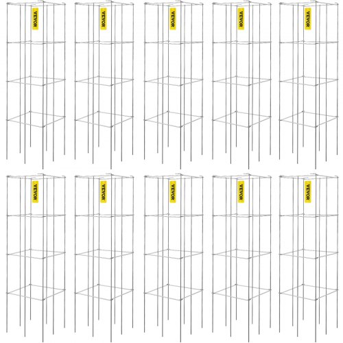 FXKZDFQZZ1246AU8WV0 FXKZDFQZZ1246AU8WV0