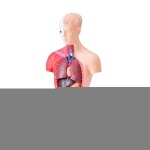 GGJRQGMX1JTR5DQJUV0 retry 10 1