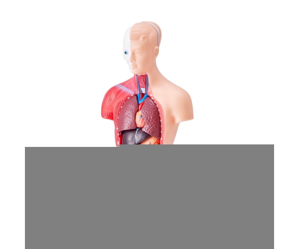 GGJRQGMX1JTR5DQJUV0 retry 10 1