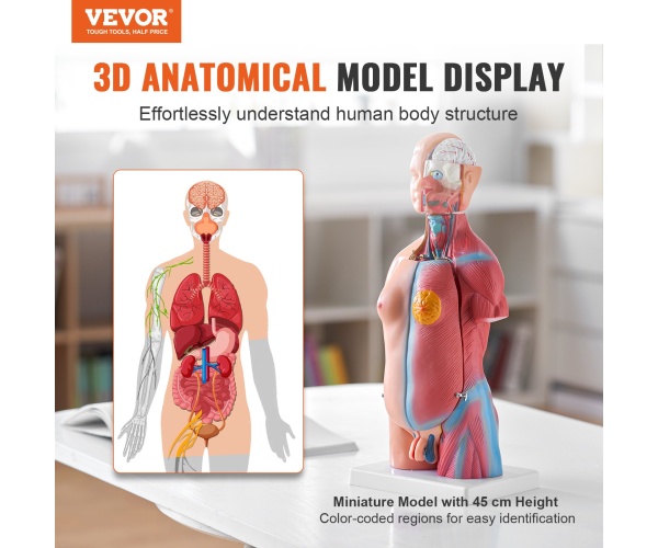 GGJRQGMX1JTRKRDCZV0 gallery 0