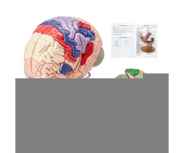 GGJRQGMX1JTRUVBUOV0 1