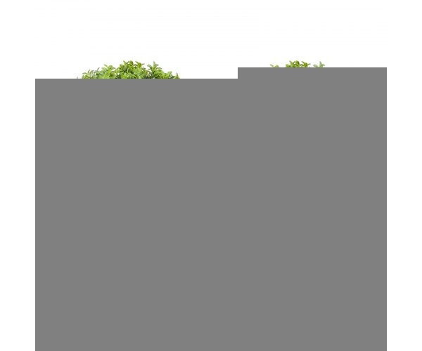 HYMRGXJS24YCVVYKMV0 5