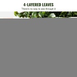 HYMRGXJS60YCC0X1LV0 gallery 2