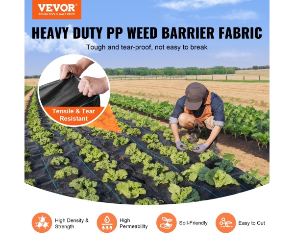 JBXBZ5250FT5B5EK7V0 gallery 0