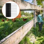 JSGSWL24IN509K581V0 gallery 6