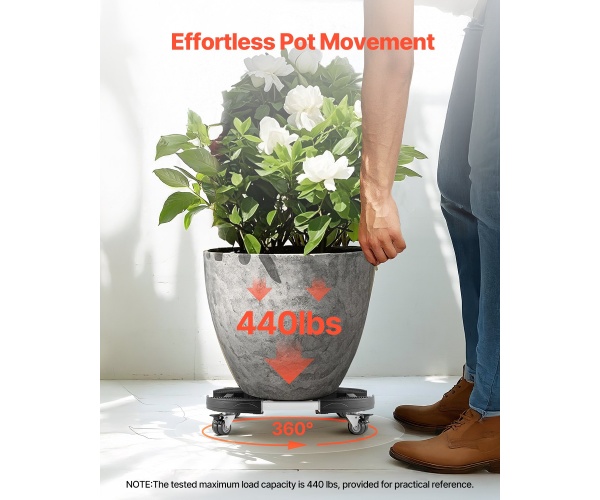 LJTTCKDJSYX18TQR2V0 gallery 0 2