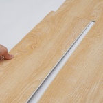 LSYXJDD55MMYTEPW2V0 gallery 7