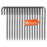 LWDDJG12YC10BGDOH001V0