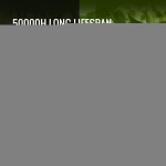 LZBZWSZ210W22PVC8V2 gallery 1