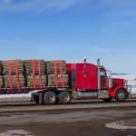 PGJPDHS4INCH3T7LFV0 gallery 6