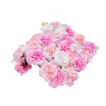 PJSRZZWQ12PCUTY5VV0 gallery 9