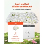 PJSRZZWQ24PCRIA85V0 gallery 0