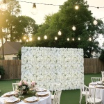 PJSRZZWQ24PCRIA85V0 gallery 6