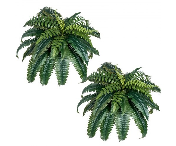 PZSRZJLZWBHHEY962001V0