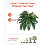 PZSRZJLZWBHHEY962001V0 gallery 2