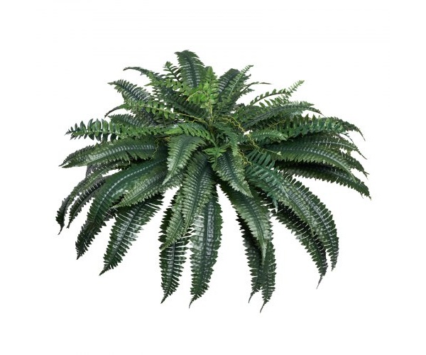 PZSRZJLZWBHHGT8HJ001V0