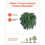 PZSRZJLZWBHHGT8HJ001V0 gallery 2