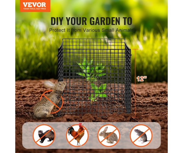 QBWZCL12YCHS5IV6FV0 gallery 0